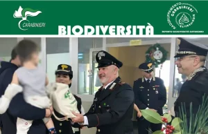 Carabinieri Forestali di Catanzaro: Speranza e natura negli ospedali pediatrici