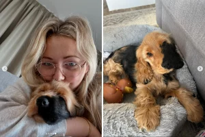 Cocker Spaniel con rara macchia congenita conquista il web: “Porta tanta gioia!”