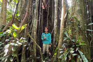 Spiriti degli alberi: l’ecologia inaspettata della fede tra natura e credenze.