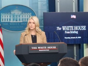 Le truppe europee in Groenlandia non influenzano le scelte di Trump, afferma Leavitt.