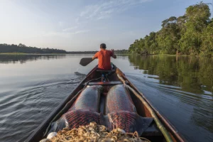 Successo nella conservazione comunitaria in Amazzonia: un costo da considerare, secondo uno studio.