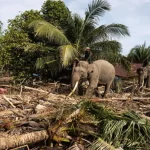 Un disastro che potrebbe portare a nuove opportunità di speranza per l’Indonesia.