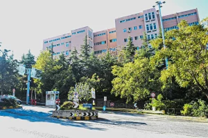 Primo trapianto renale da donatore deceduto al Grande Ospedale Metropolitano di Reggio Calabria 2026.