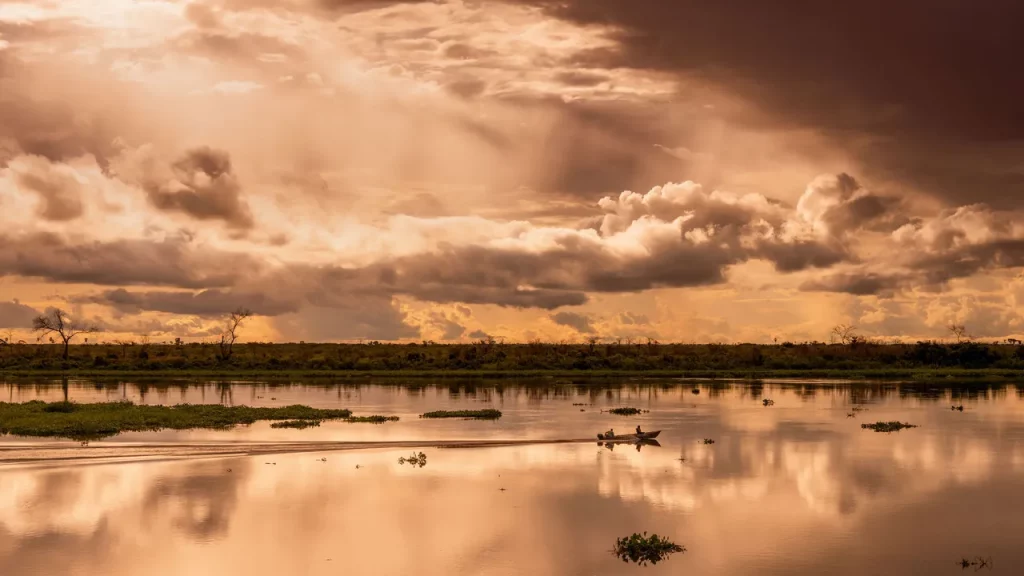 Fauna tropicale del Brasile: giaguari, caimani e cowboy nelle paludi mozzafiato.