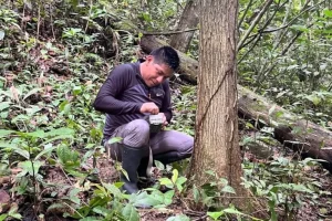 Richar Antonio Demetrio: primo ricercatore Asháninka a pubblicare studi sulle api