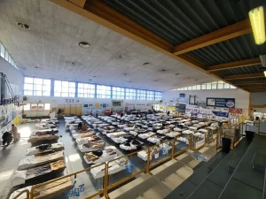 Incendio a Ferrara: accoglienza sfollati in corso per la seconda notte consecutiva.