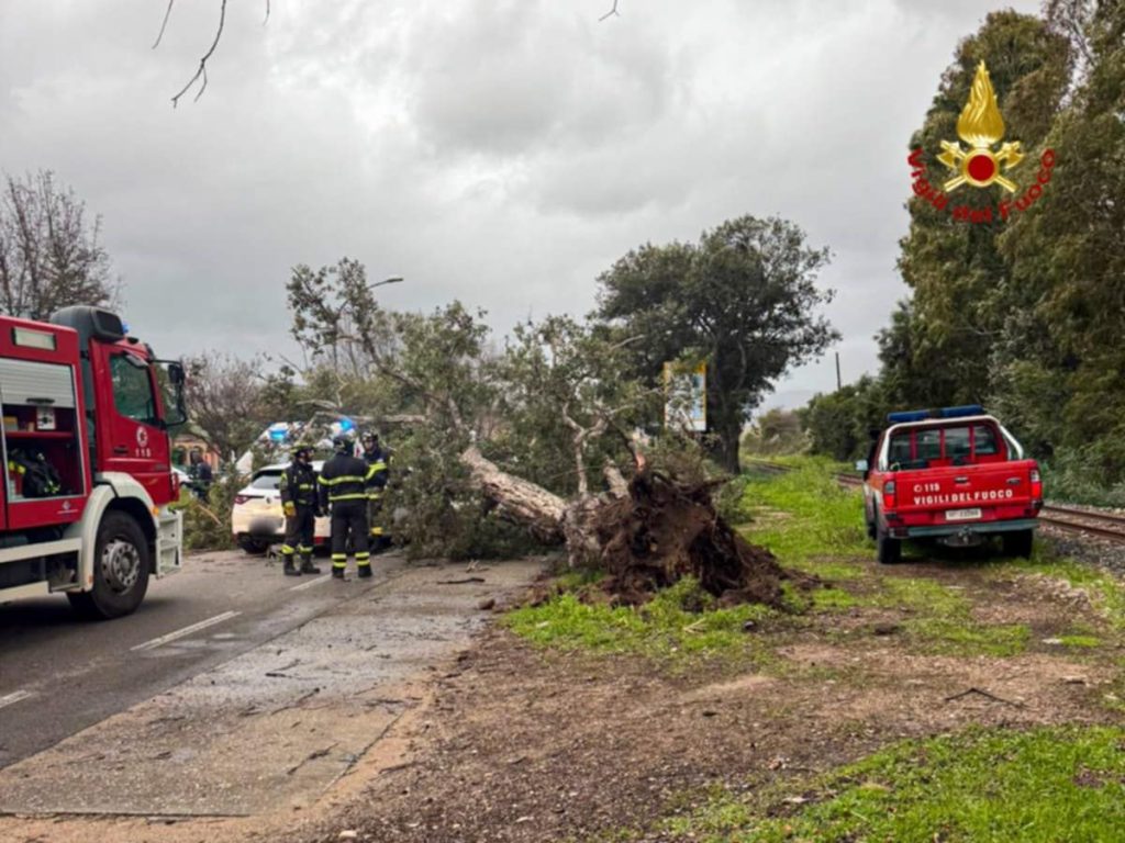 Maltempo in Sassari: albero caduto sulla statale 125 dir, oltre 100 interventi effettuati.