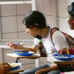 Il Rio de Janeiro vieta la carne di squalo nei pasti scolastici.