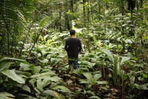 Come proteggere l’Amazzonia secondo Virgilio Viana: strategie essenziali per il futuro.