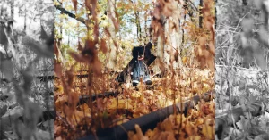 Golliwog di Billy Woods: un capolavoro horrorcore per gli amanti del cinema A24