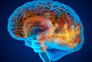 Emozioni Gestite dal Lobo Frontale: Scopri il Ruolo Chiave del Cervello