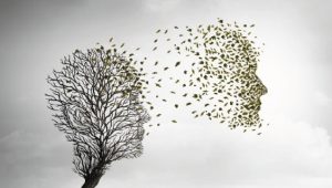 Riflessioni sulla vita e sulla morte: un viaggio educativo con esperti rinomati.