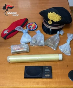 Scoperto e smantellato bivacco di spaccio nei boschi del Varesotto: operazione della polizia.