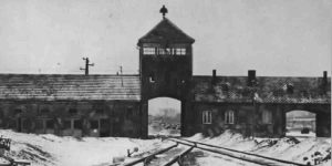 Giorno della Memoria 2026: Programmazione speciale e iniziative Mediaset in diretta e streaming