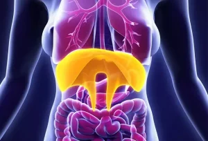 Cause e conseguenze della sindrome della clessidra: 3 fattori principali spiegati