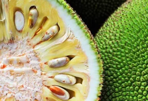 Scopri il sapore unico della carne di jackfruit: dolce, neutra e versatile in cucina