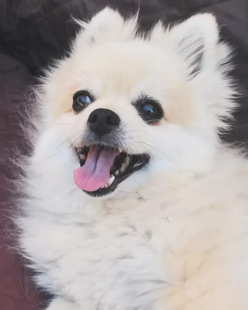 Nel messaggio diffuso sui social, Alessandra Celentano ha toccato temi universali come la perdita e... - nicotina celentano