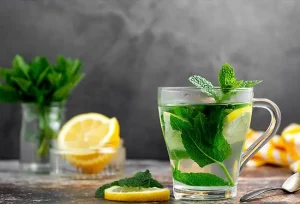 Rimedi naturali efficaci per eliminare le formiche all’esterno senza chimici