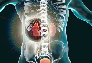 Alti livelli di DHEA: cause, effetti e cosa indicano sul tuo corpo