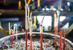 Patchouli: profumo terroso, dolce, legnoso con note speziate e muschiate naturali