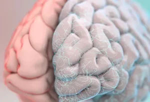 Sintomi e conseguenze del danno al lobo frontale: cosa succede al cervello?