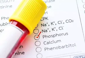 Segnali chiari di carenza di fosforo nelle piante da riconoscere subito