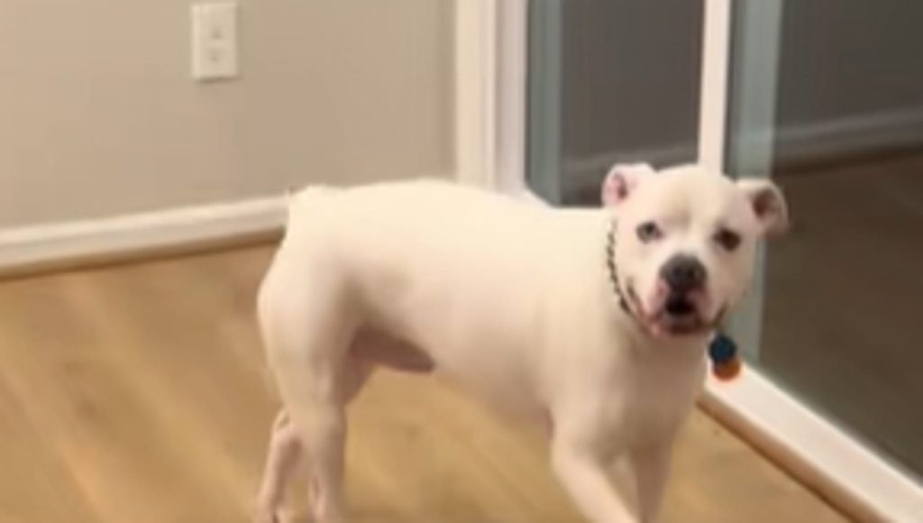 Il “Primo Giorno” di Oliver: la commovente scoperta della libertà oltre il cemento