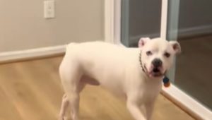 Il “Primo Giorno” di Oliver: la commovente scoperta della libertà oltre il cemento