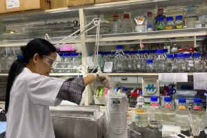 Coral Cryobank in Thailandia: una speranza per il salvataggio dei barriere coralline in pericolo.