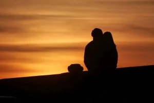 San Valentino 2024: 76% preferisce un weekend culturale come regalo ideale, dice Confcommercio