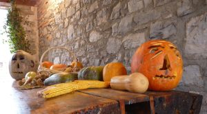 Tavoli a forma di biscotto nella scuola: un incentivo a consumare snack zuccherati?