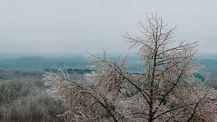 Gennaio 2023: Europa gelata e Sud infuocato, un mese di contrasti climatici estremi.