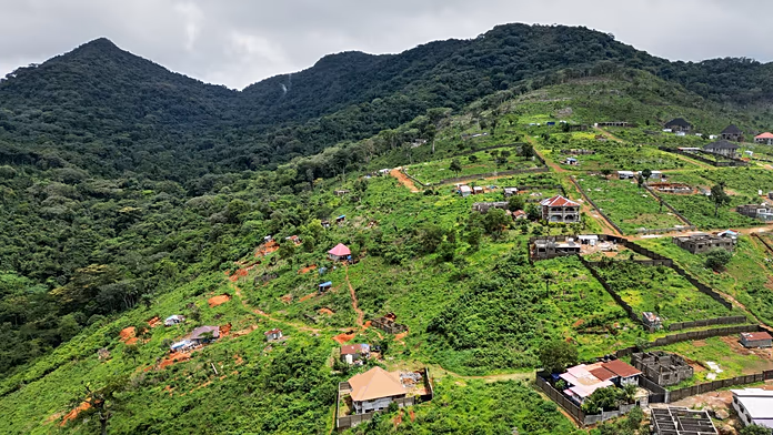 Ville di lusso illegali minacciano la foresta in un parco nazionale UNESCO.