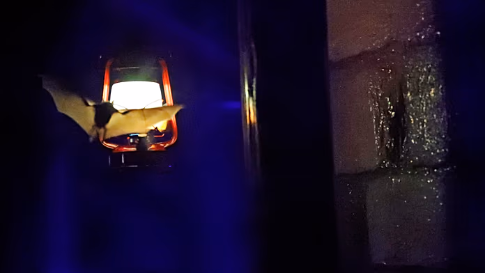 Luci stradali rosse in Europa: la scelta delle città dalla Danimarca al Regno Unito.