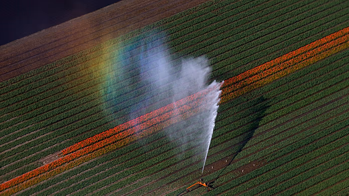Pesticidi contaminano il 70% dei campi in Europa, minacciando la sicurezza alimentare.