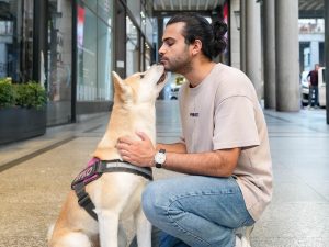 Doggodaiily espande la sua fotografia: ora protagonista anche il mondo dei gatti