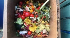 Mezzo chilo di cibo sprecato a settimana: scopri la classifica dei paesi europei