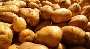 Scopri quando è il momento giusto per gettare via le vecchie cose