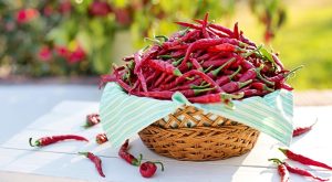 Scopri i segreti per una dieta leggera e gustosa: il tuo successo in cucina!