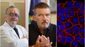 Fondazione raggiunge oltre 3 milioni di euro nella sua raccolta fondi per iniziative benefiche.