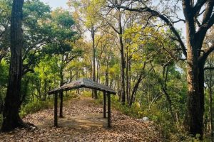 Nepal firma importante accordo sul carbonio, ma l’accesso alle comunità continua a essere difficile.