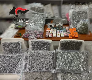 Napoli: blitz a Brusciano, sequestrati 21 kg di droga e proiettili.