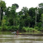 Banche rifiutano finanziamenti per progetto di gas naturale liquefatto in Papua Nuova Guinea.