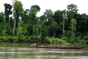 Banche rifiutano finanziamenti per progetto di gas naturale liquefatto in Papua Nuova Guinea.