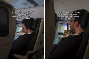 Coppia porta gatto in aereo: risate assicurate una volta seduti!