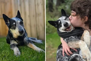 Donna scatta foto con il suo cane, cielo mozzafiato per una serata indimenticabile.