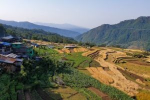 Foreste comunitarie del Nepal: legno invenduto e opportunità per la sostenibilità.