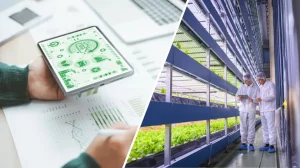 ENEA DRG4FOOD: Innovazione digitale per una filiera agroalimentare più sicura e sostenibile