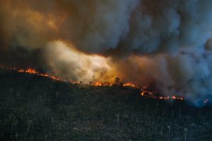 Quando la natura rappresenta un rischio per la sicurezza e la nostra vita quotidiana.