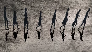 Safari lodge innovativo: un’esperienza unica tra fauna selvatica e benessere totale.